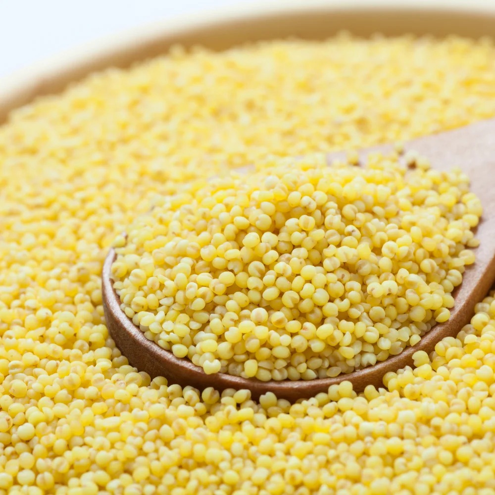 WhatsApp Image 2025-02-27 at 11.45.30 PM