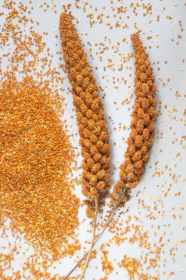 red-millet-silver-gray-background_296586-1179